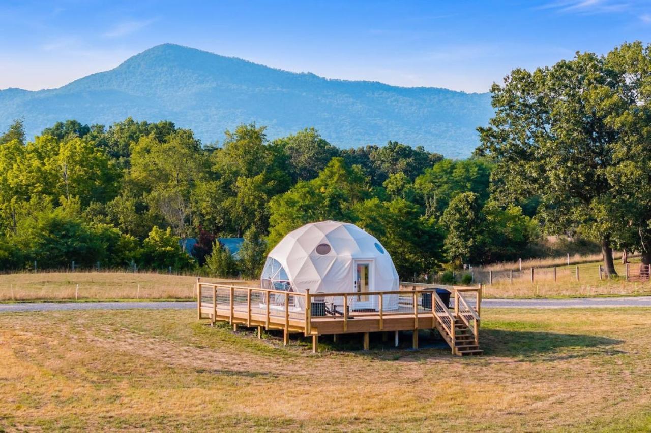 루레이 Tranquil Dome At Faraway Camp 게스트하우스 외부 사진