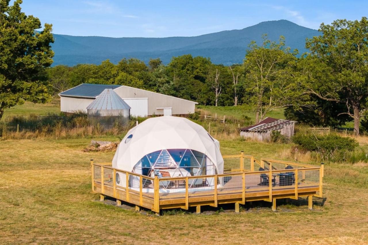 루레이 Tranquil Dome At Faraway Camp 게스트하우스 외부 사진