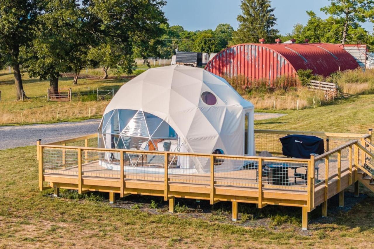 루레이 Tranquil Dome At Faraway Camp 게스트하우스 외부 사진